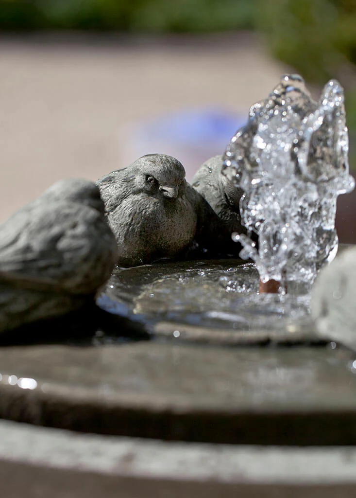 31" Passaros II Fountain