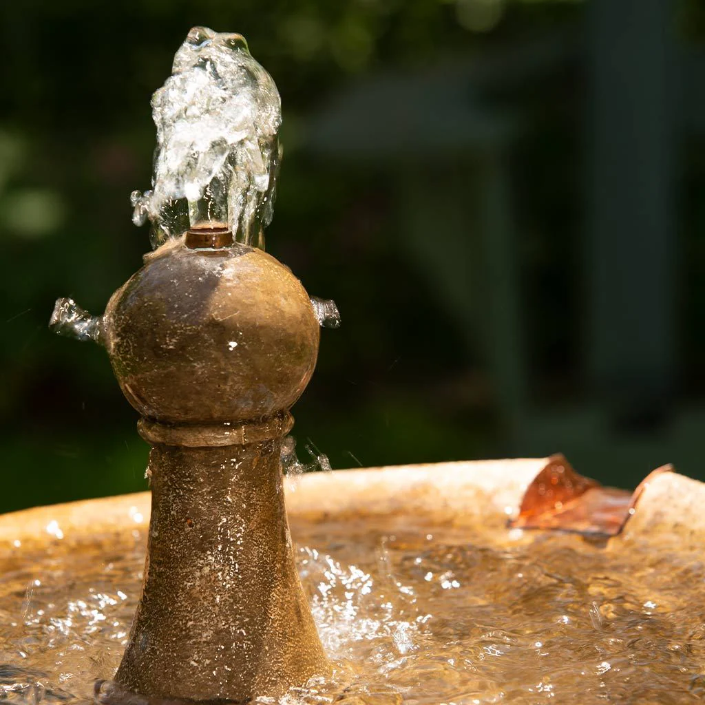 Campania Borghese in Basin Fountain - Thumbnail 2