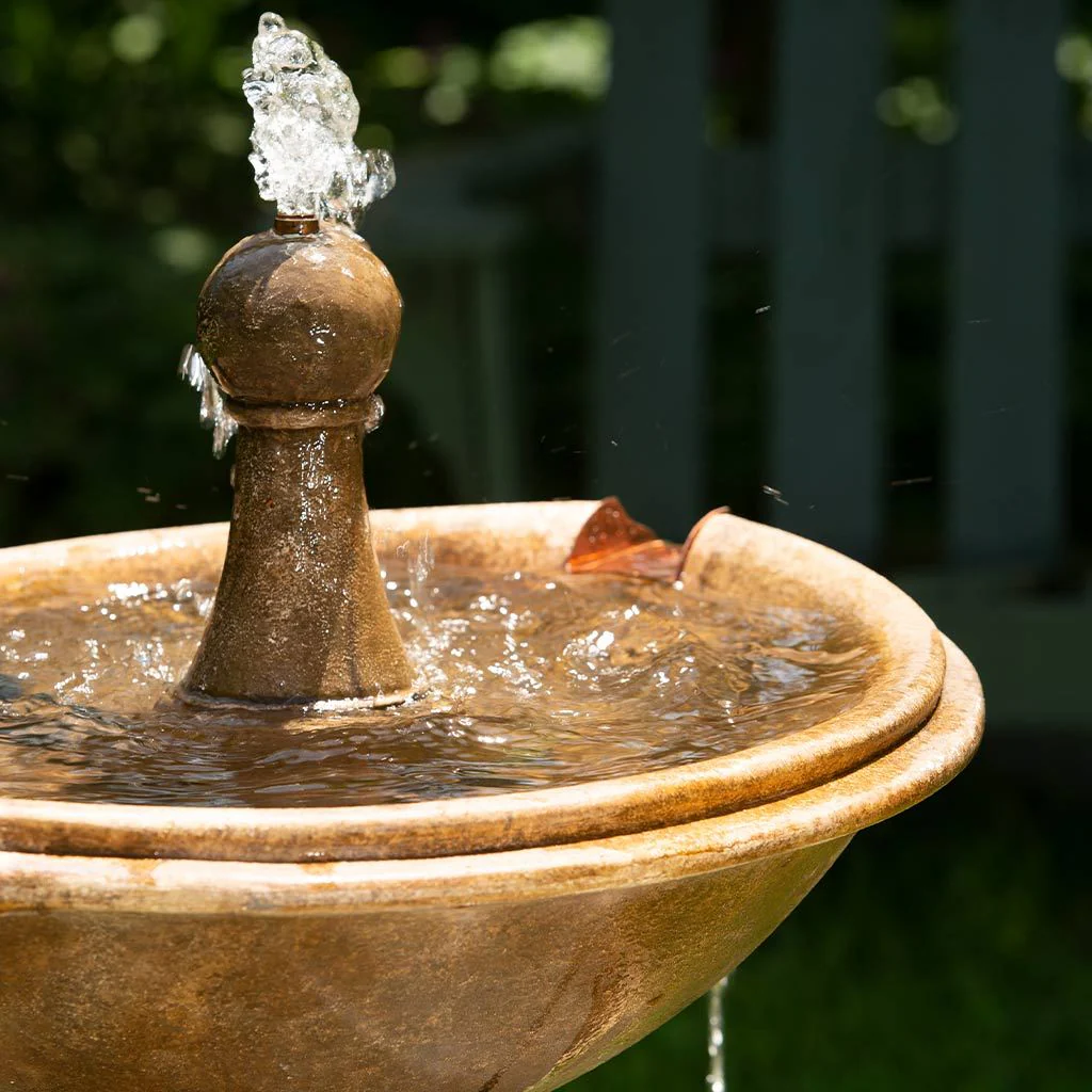 Campania Borghese in Basin Fountain - Thumbnail 3