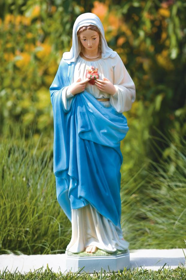 26" Sacred Heart of Mary