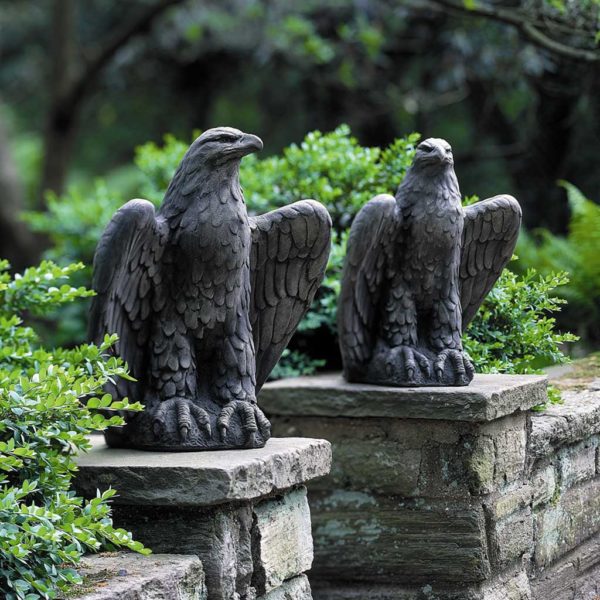 Campania Eagle Looking Left and Right