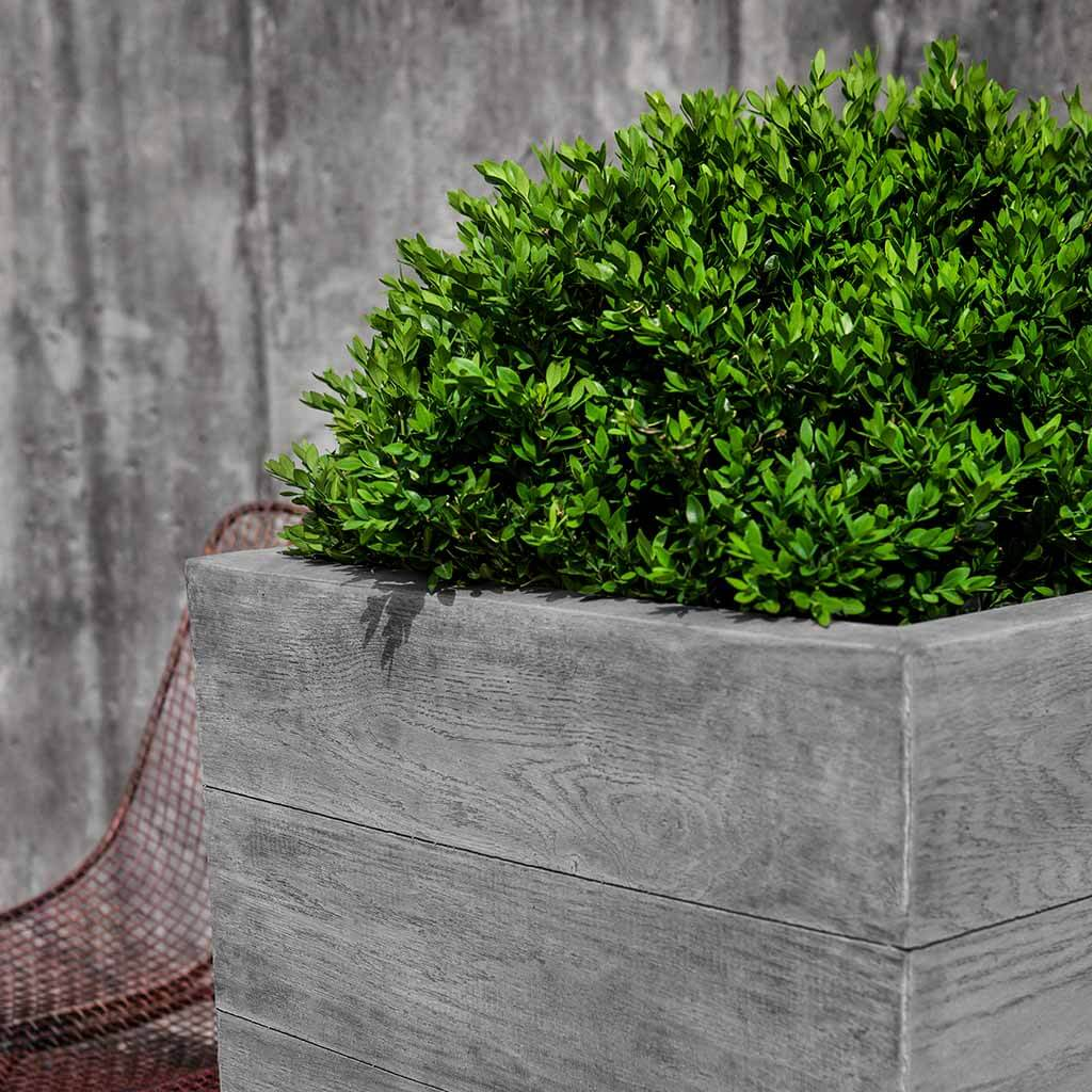 23" Chenes Brut Box Planter
