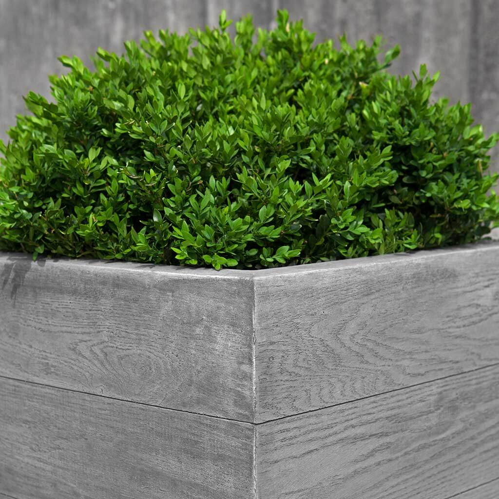 34" Chenes Brut Tall Box Planter