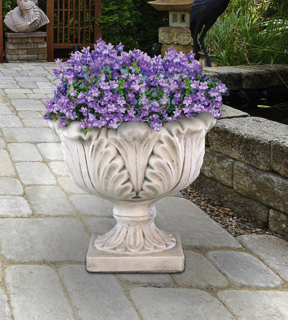 18" Ucanthus Planter