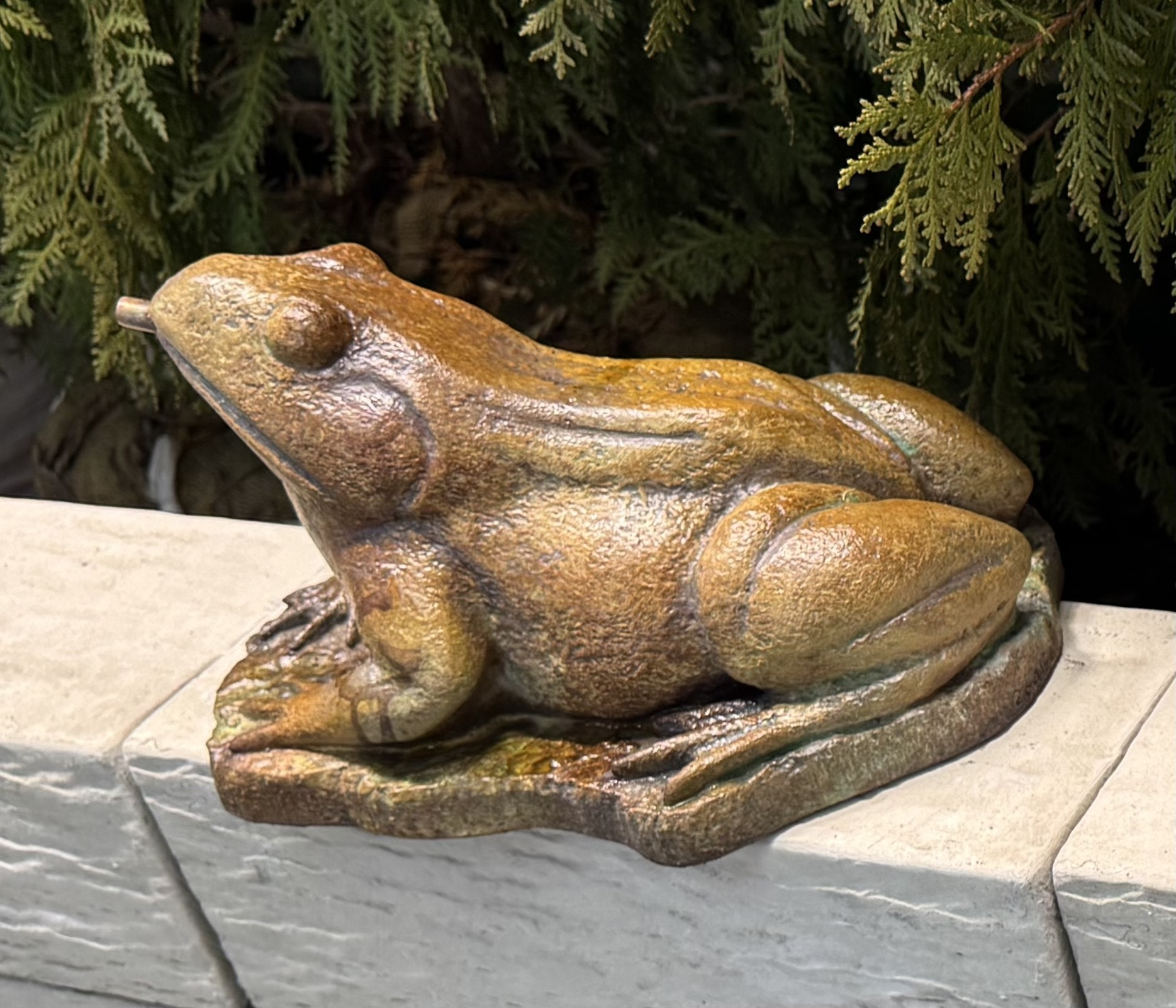 8" Medium Frog (Piped)