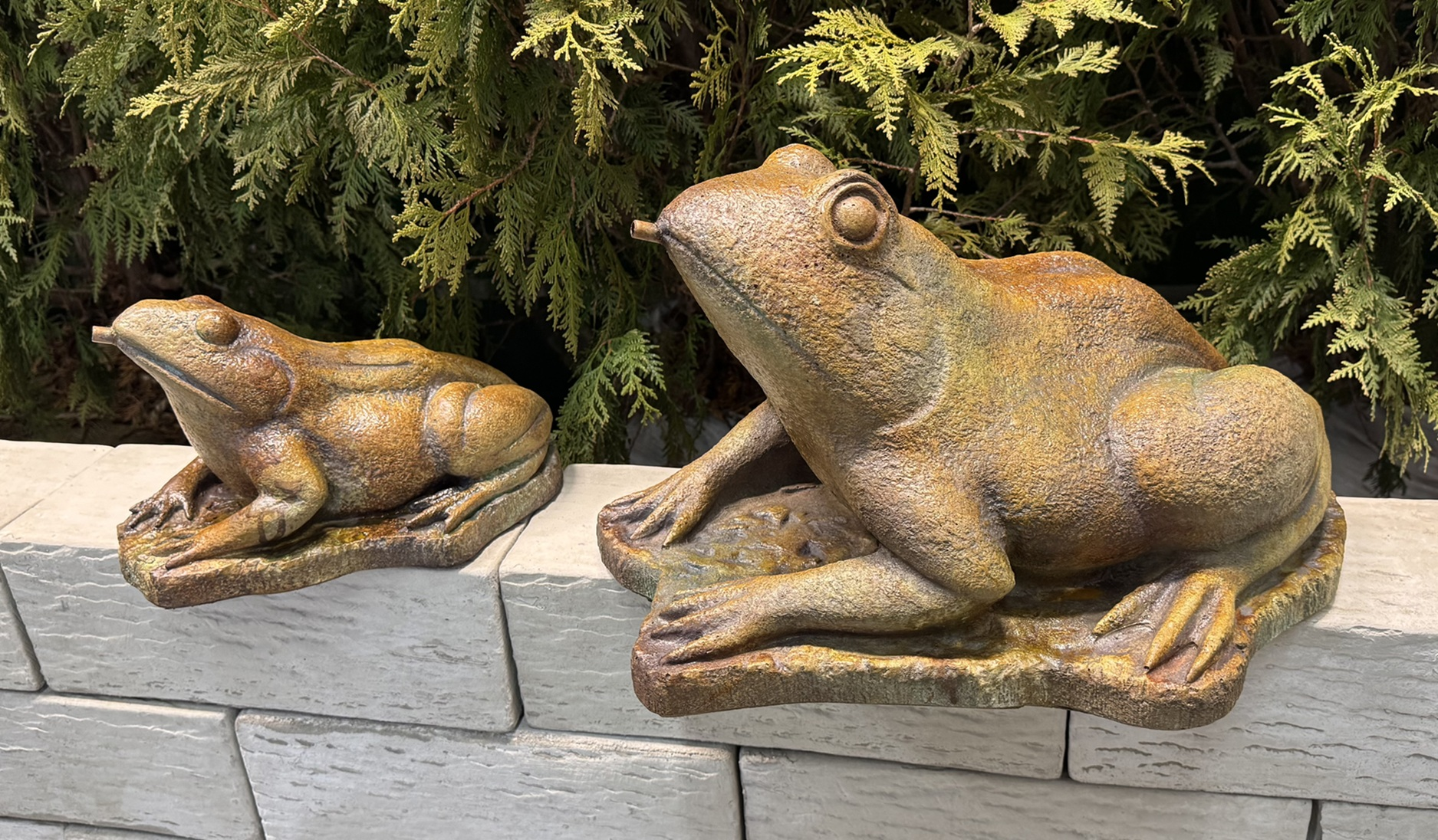8" Medium Frog (Piped)