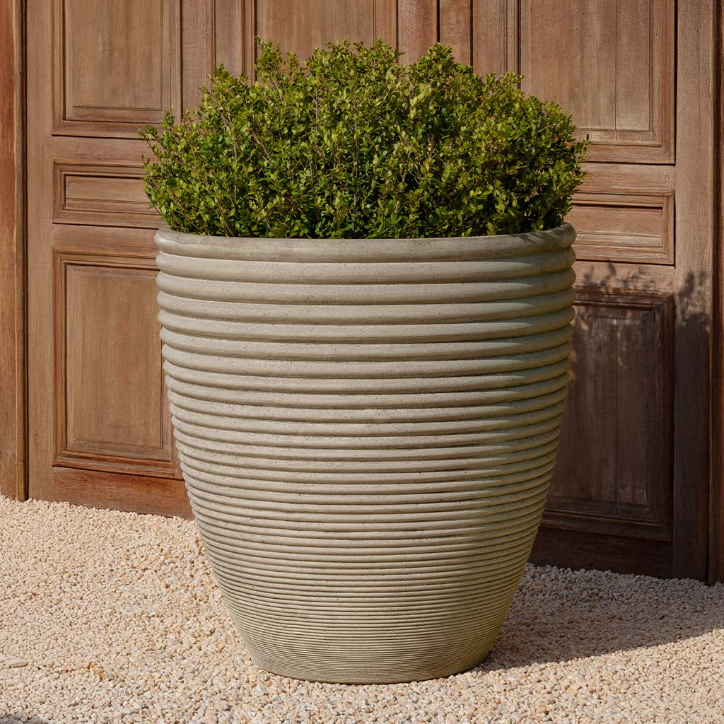 38" Bibendum Planter, Extra Large