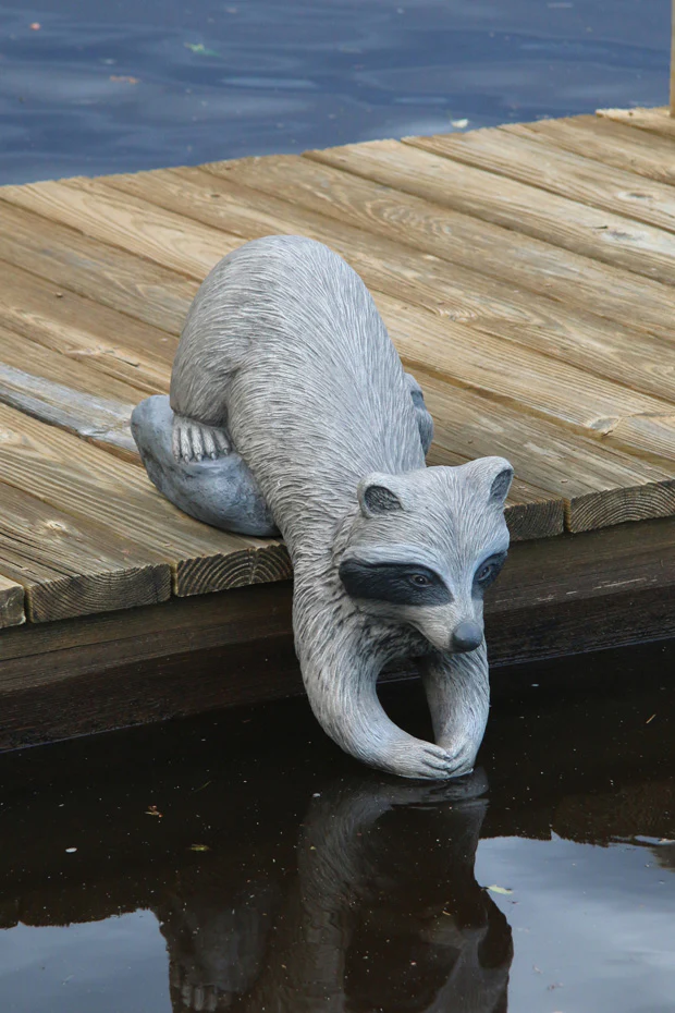 19" Playful Raccoon