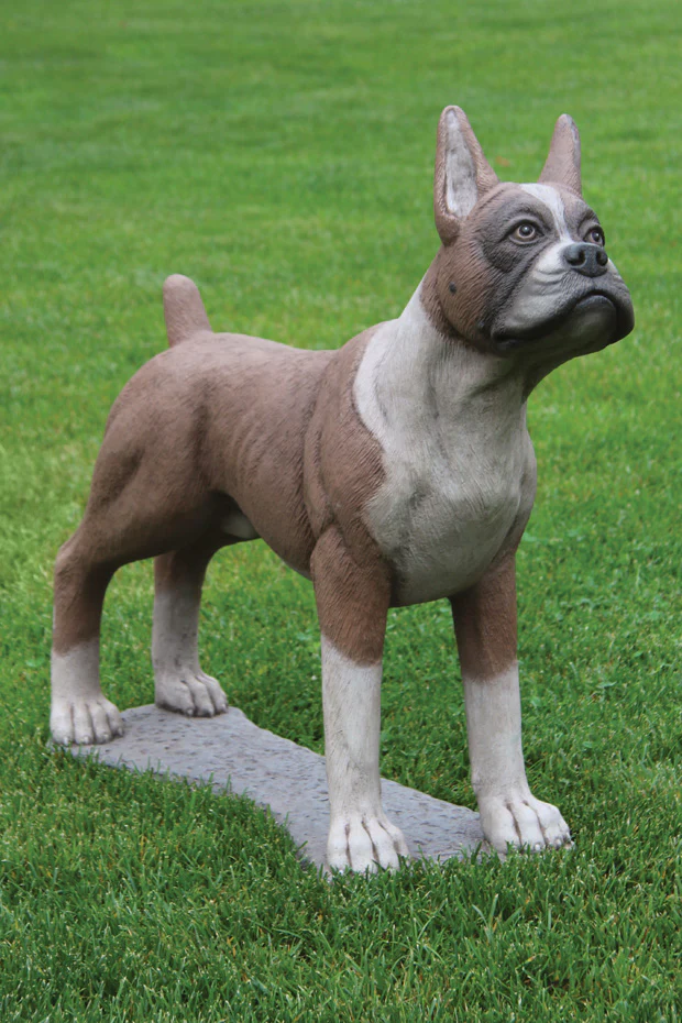 30" Boxer