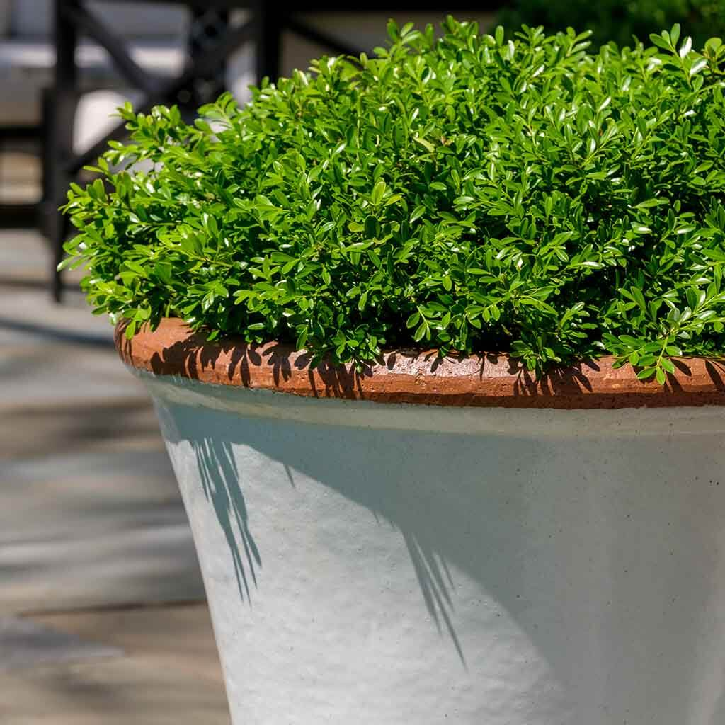 Brighton Planter S/3 - Antique White