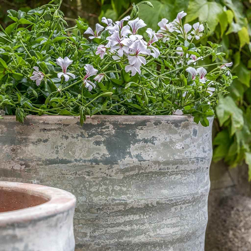Sistina Planter S/2 - Vicolo Terra