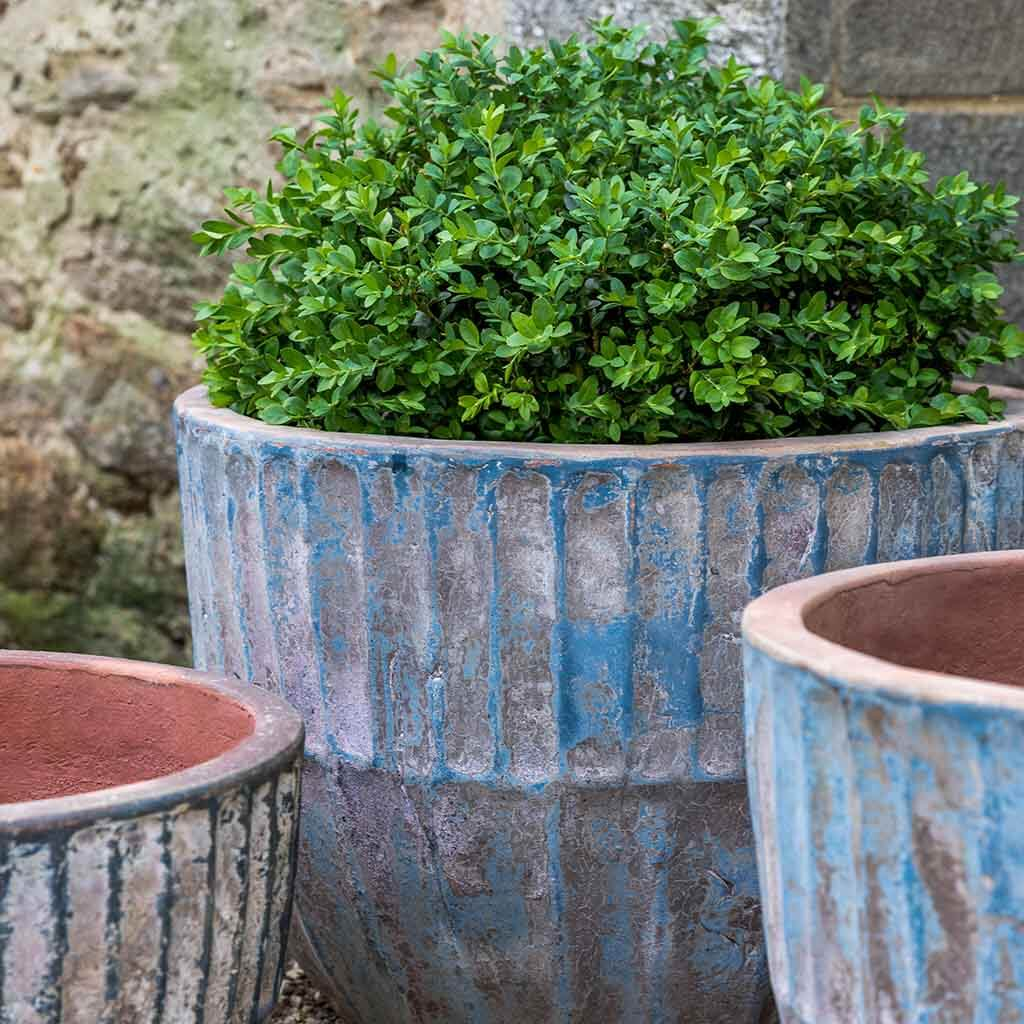 Velia Planter S/3 - Vicolo Mare