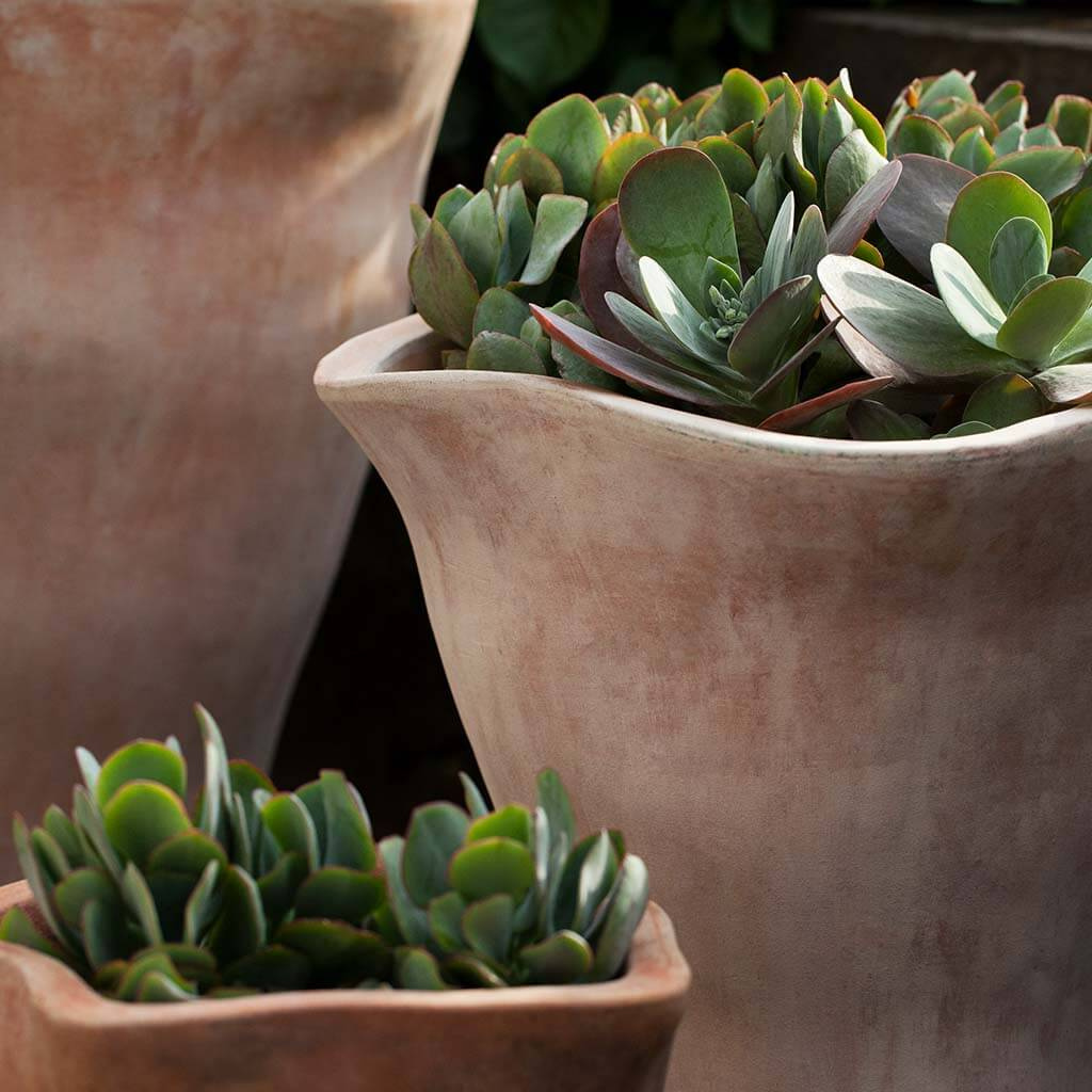 Foxglove Planter, Tall S/3 - Terra Cotta