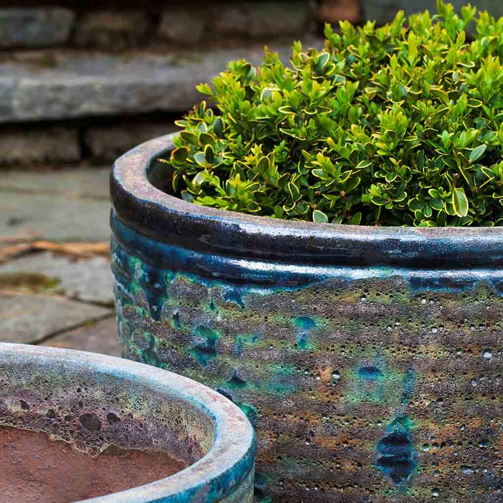 Aspara Planter S/4 