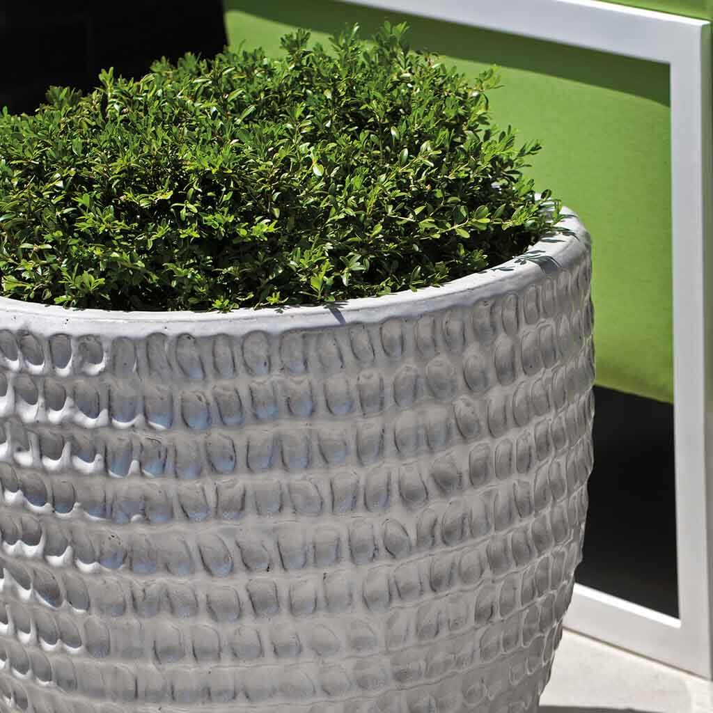 Dimple Planter S/3 - Antique White