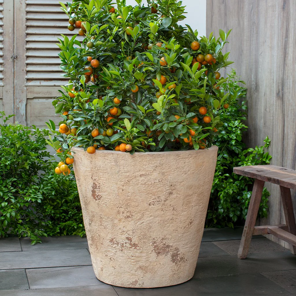 Catena Planter 20"