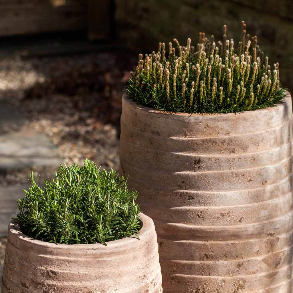 Ipanema Planter, Tall S/2 - Antico Terra Cotta