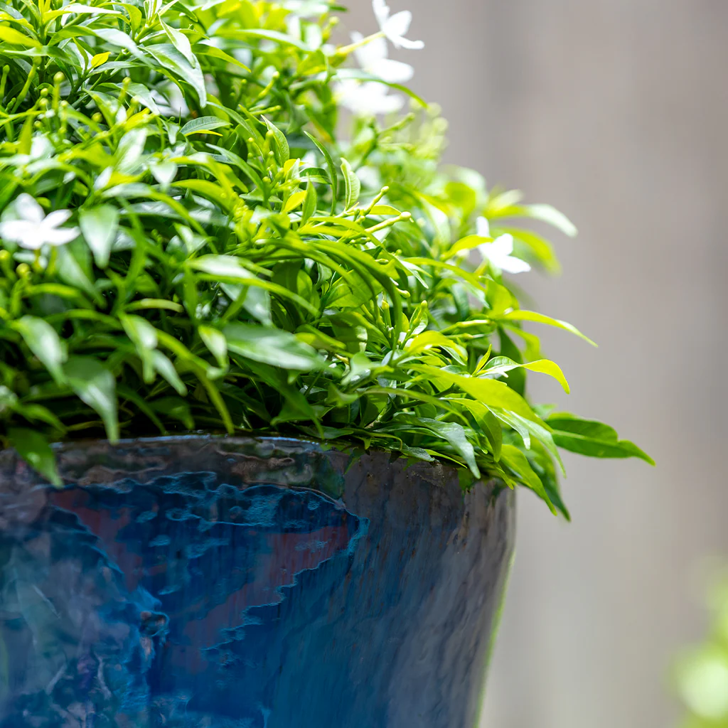Foxglove Planter S/3 - Mediterranean