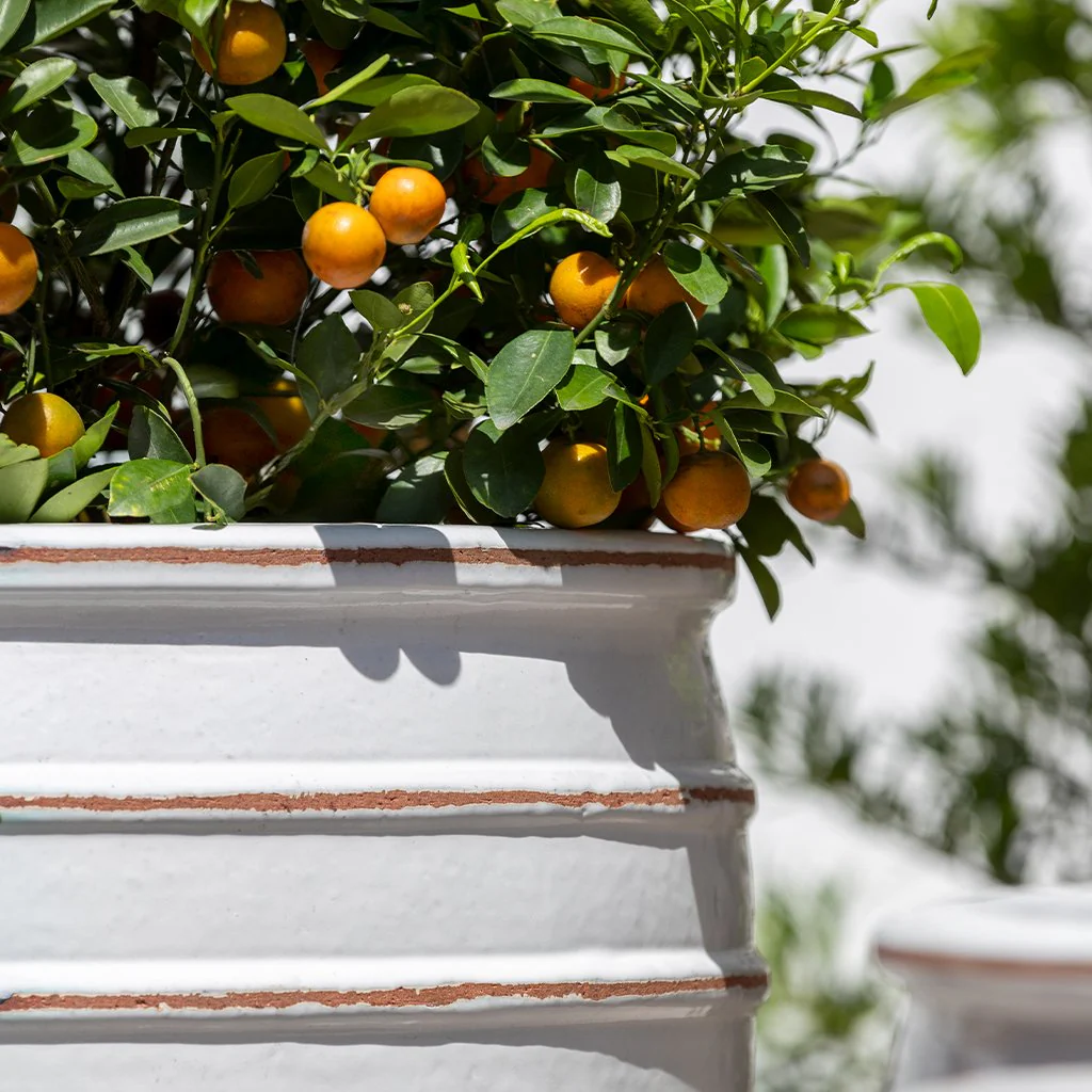 Vari Planter S/3 - Antique White