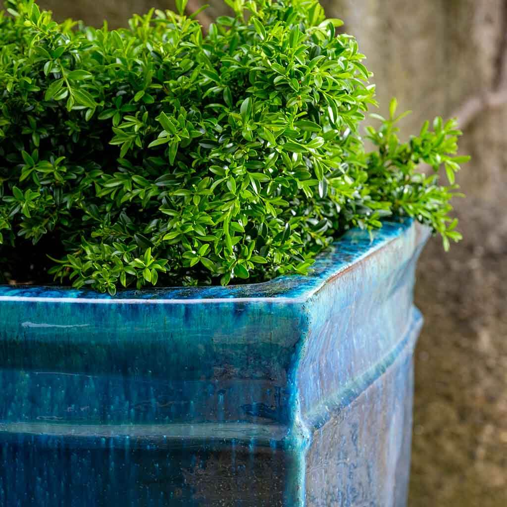 Square Rolled Rim Planter S/3 - Mediterranean