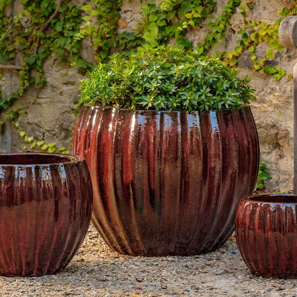Cabernet Planter S/3
