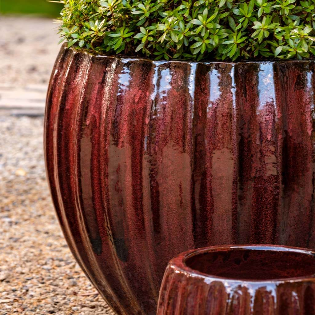 Cabernet Planter S/3