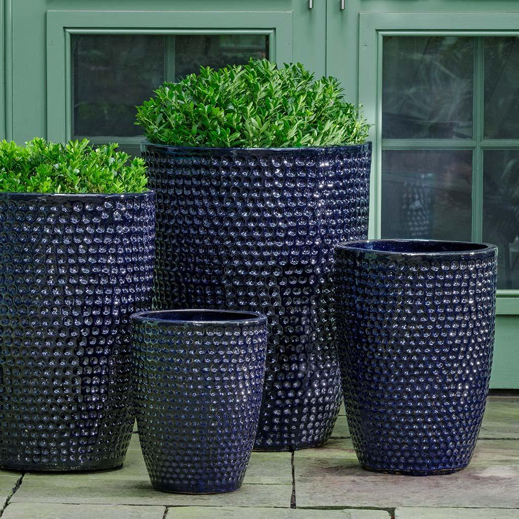 Coin Pot, Tall S/4 - Sapphire