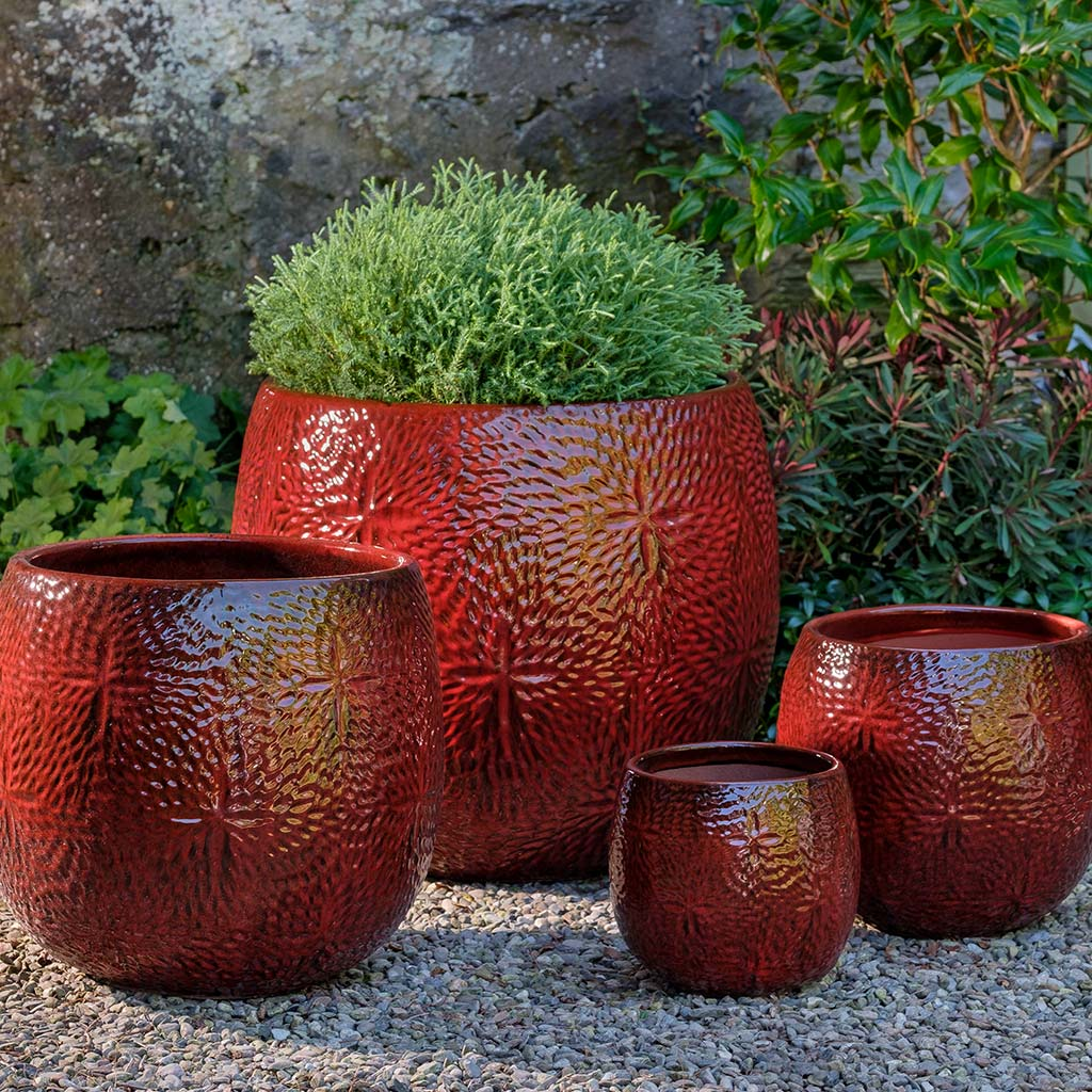 Sand Dollar Planter S/4 - Tropic Red