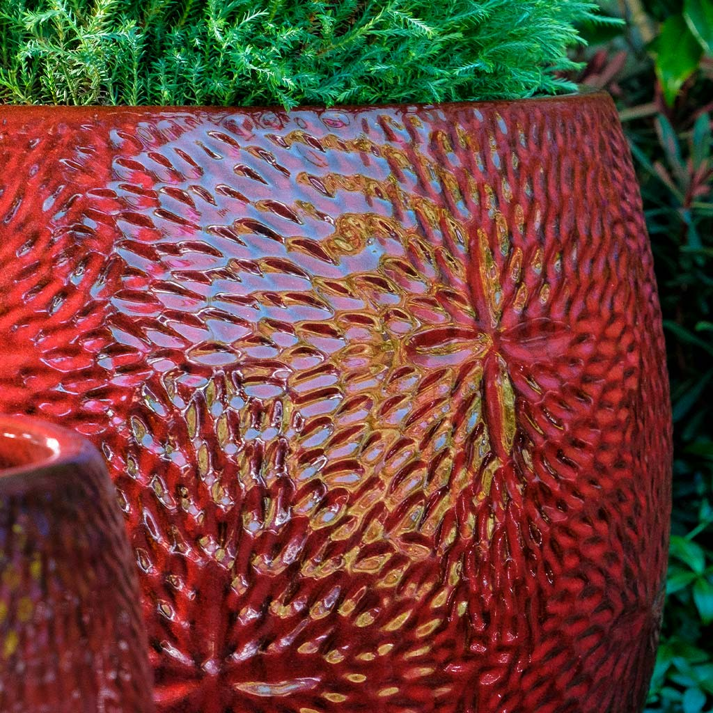 Sand Dollar Planter S/4 - Tropic Red
