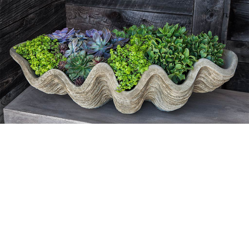 32" South Seas Shell Planter, Large
