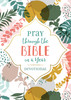 Pray through the Bible in a Year Devotional - Paperback