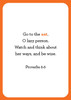 Bible Animals Flash Cards - SLIGHTLY IMPERFECT