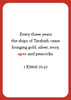 Bible Animals Flash Cards - SLIGHTLY IMPERFECT