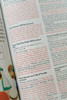 The Kids' Bedtime Devotional Bible: NLV [Aqua Stars] - SLIGHTLY IMPERFECT