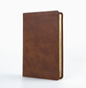 The KJV Study Bible [Chestnut Brown Fish] - SLIGHTLY IMPERFECT