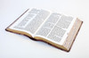 Barbour Simplified KJV--Large Print [Plum & Paisley] - SLIGHTLY IMPERFECT