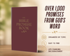 The Bible Promise Book - KJV (Paperback)