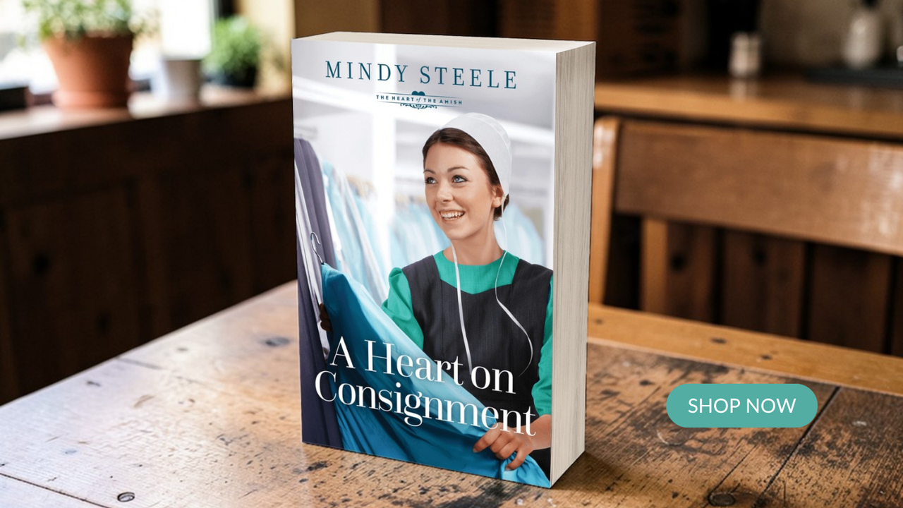New in the Heart of the Amish Series!