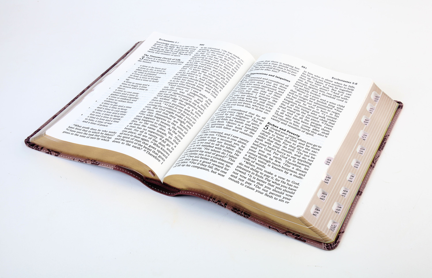 Barbour Simplified KJV--Large Print [Plum & Paisley]