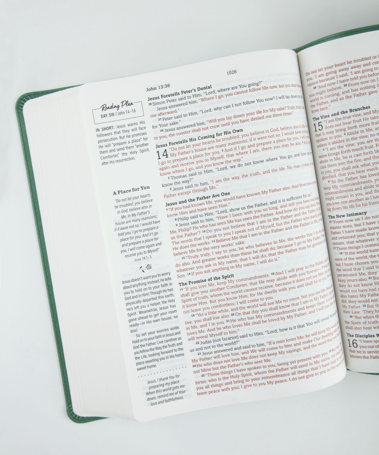 The Barbour SKJV Devotional Bible for Women: Worry Less, Pray More