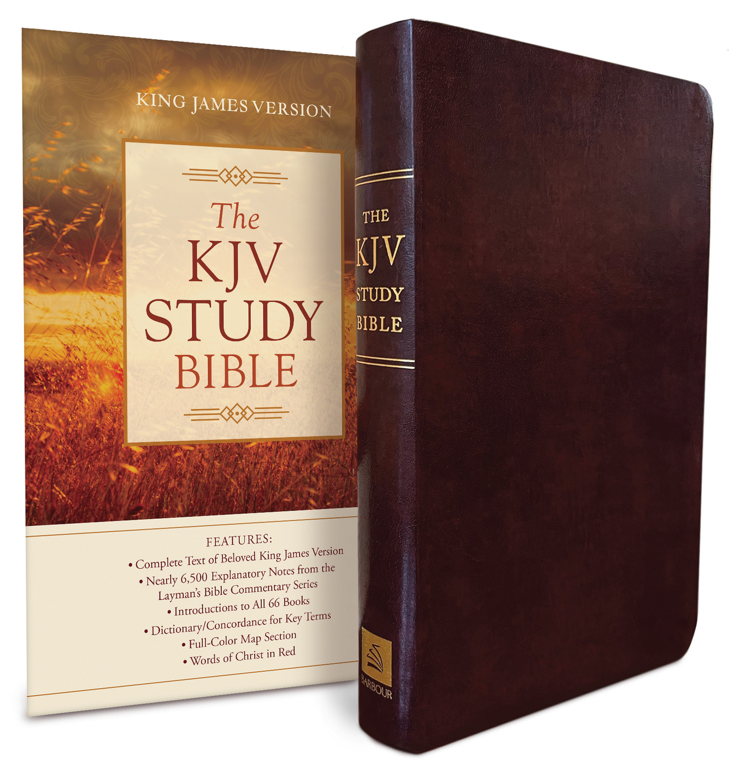 【中古】 What the Bible Says about God’s Will/BARBOUR PUB INC/Barbour Publishing 中古】 What the Bible Says about God's Will/BARBOUR PUB INC