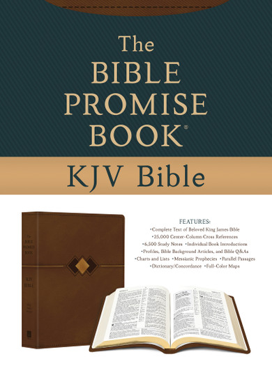 The Bible Promise Book KJV Bible [Hickory Diamond]