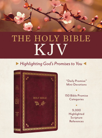 The Holy Bible KJV: Highlighting God's Promises to You [Crimson & Gold] - SLIGHTLY IMPERFECT