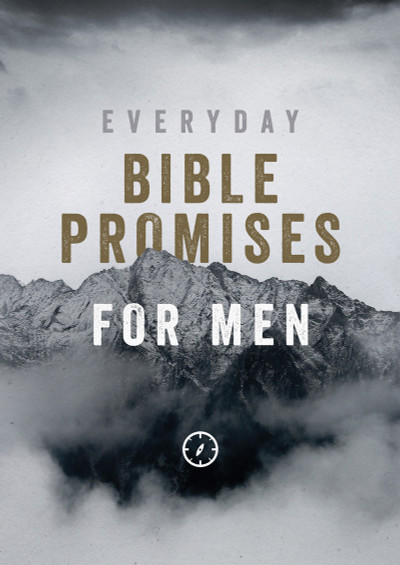 Everyday Bible Promises for Men Paperback