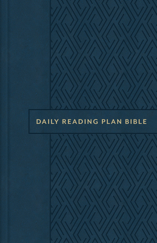 The Daily Reading Plan Bible [Oxford Diamond]