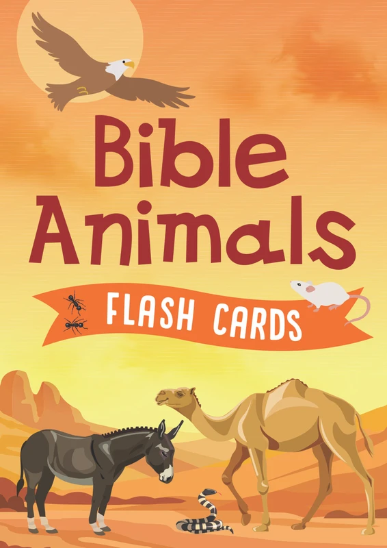 Bible Animals Flash Cards - SLIGHTLY IMPERFECT