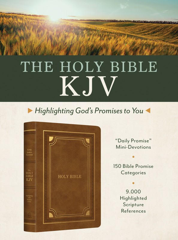 The Holy Bible KJV: Highlighting God's Promises to You [Gold & Camel]