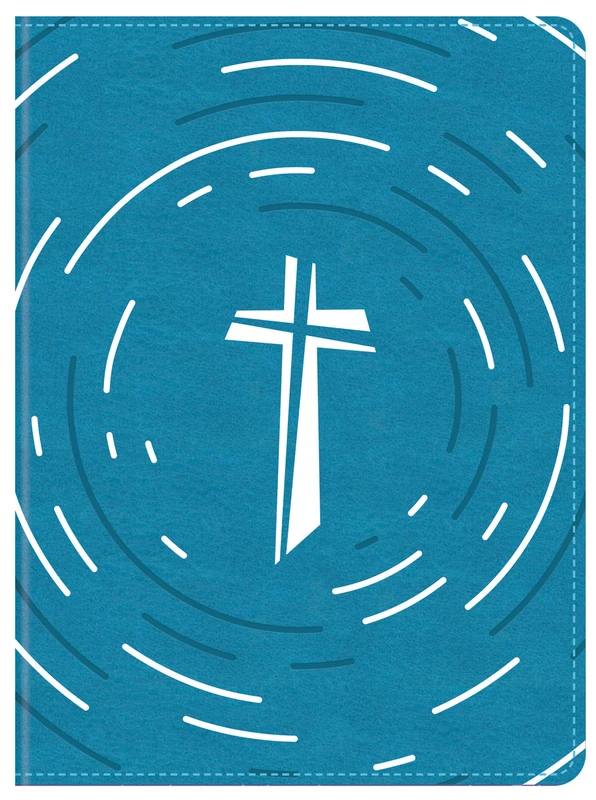 The Daily Wisdom for Boys SKJV Devotional Bible - SLIGHTLY IMPERFECT