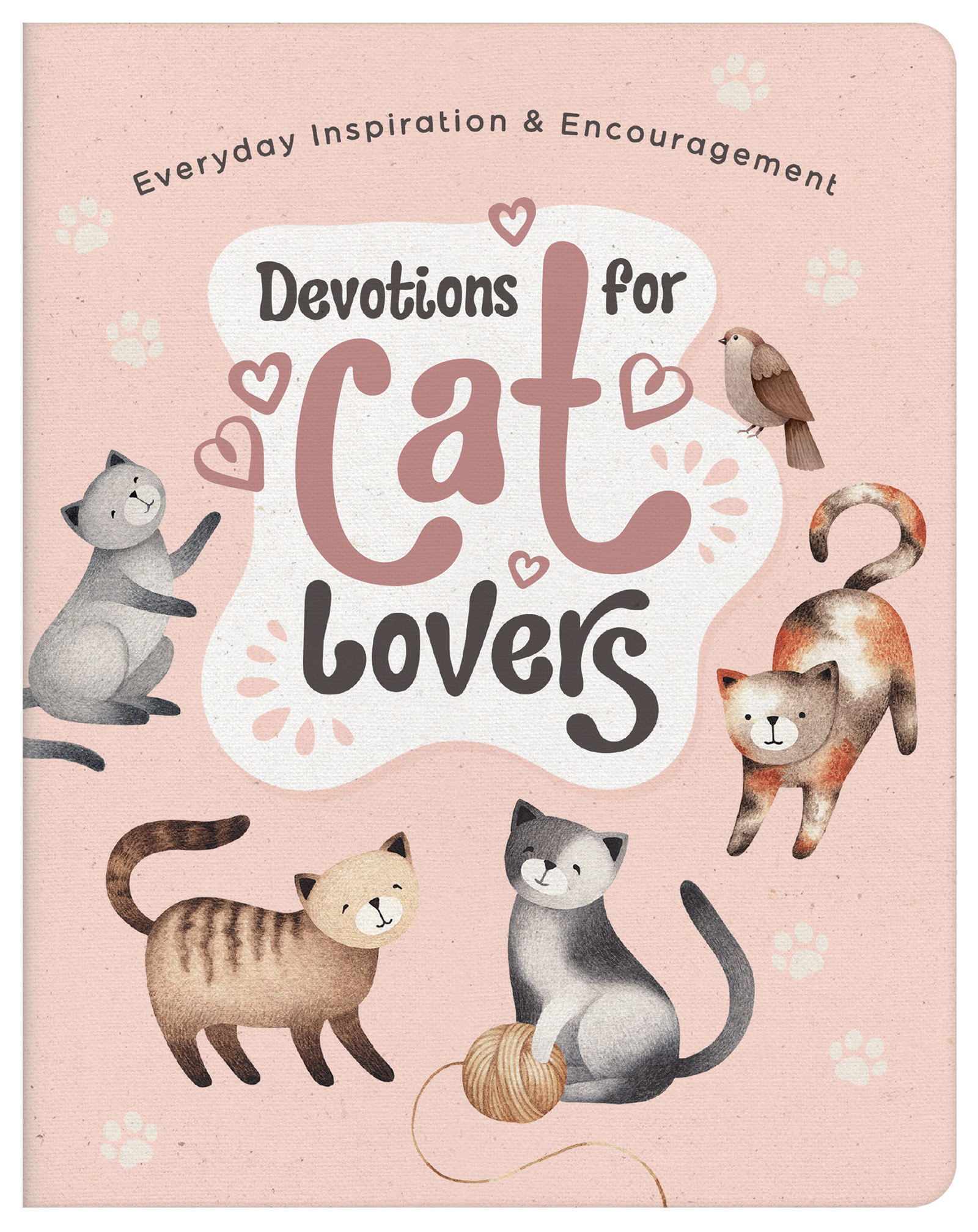 Daily Devotionals  Gatto Christian Shop