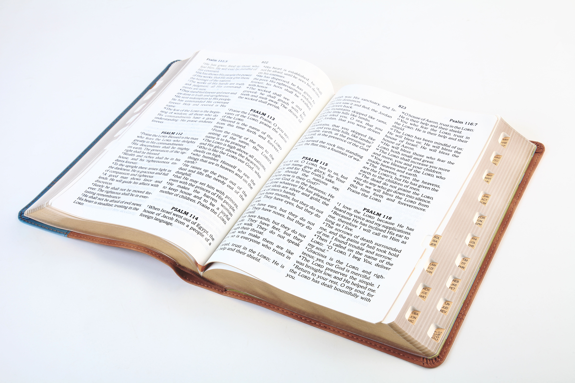 【中古】 What the Bible Says about God’s Will/BARBOUR PUB INC/Barbour Publishing 中古】 What the Bible Says about God's Will/BARBOUR PUB INC